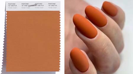 PANTONE 16-1348 Tomato Cream — Томатный крем 